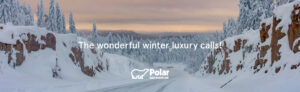 Polar winter luxe